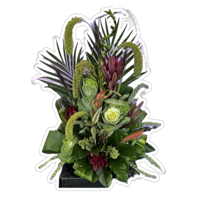 Funky Foliage - Something a wee bit different.... A luscious foliage arrangement for a quirky gift! Flowers can be added, on request from medium option upwards.