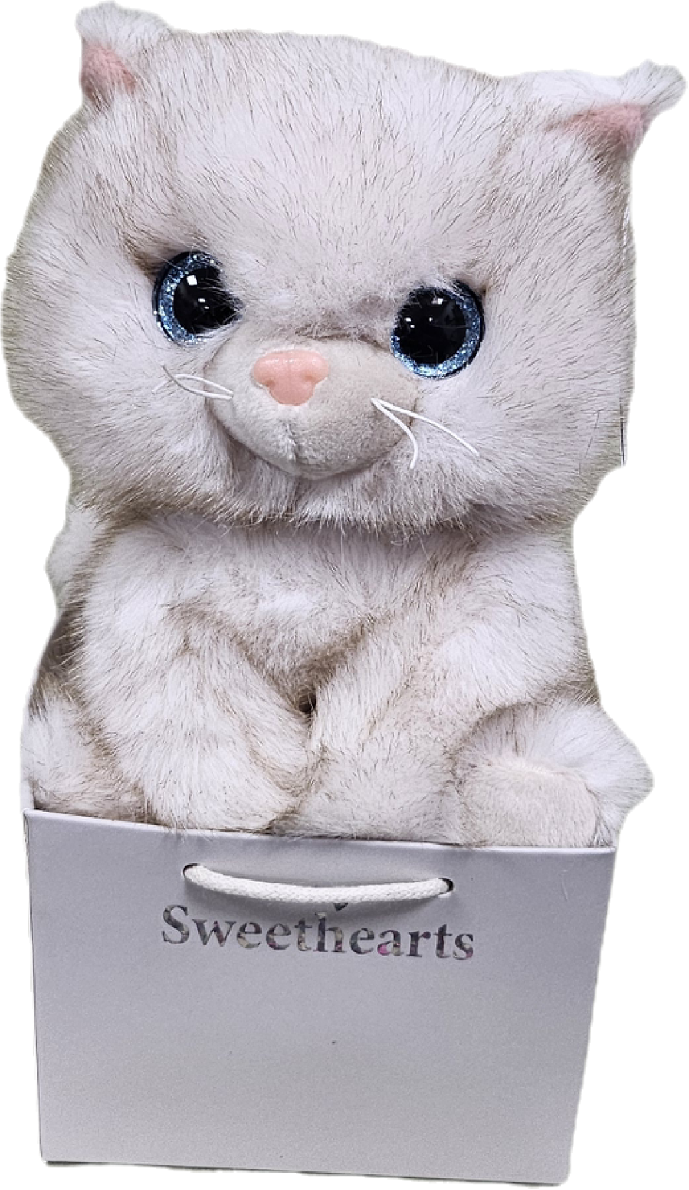Plush Kitty (colour may vary)