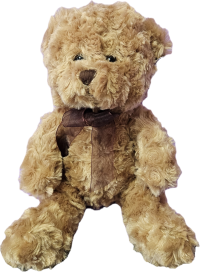Mr Charlie Bear - A handsome chap to give as a wee gift along with your flowers! (Around 30cm in height)