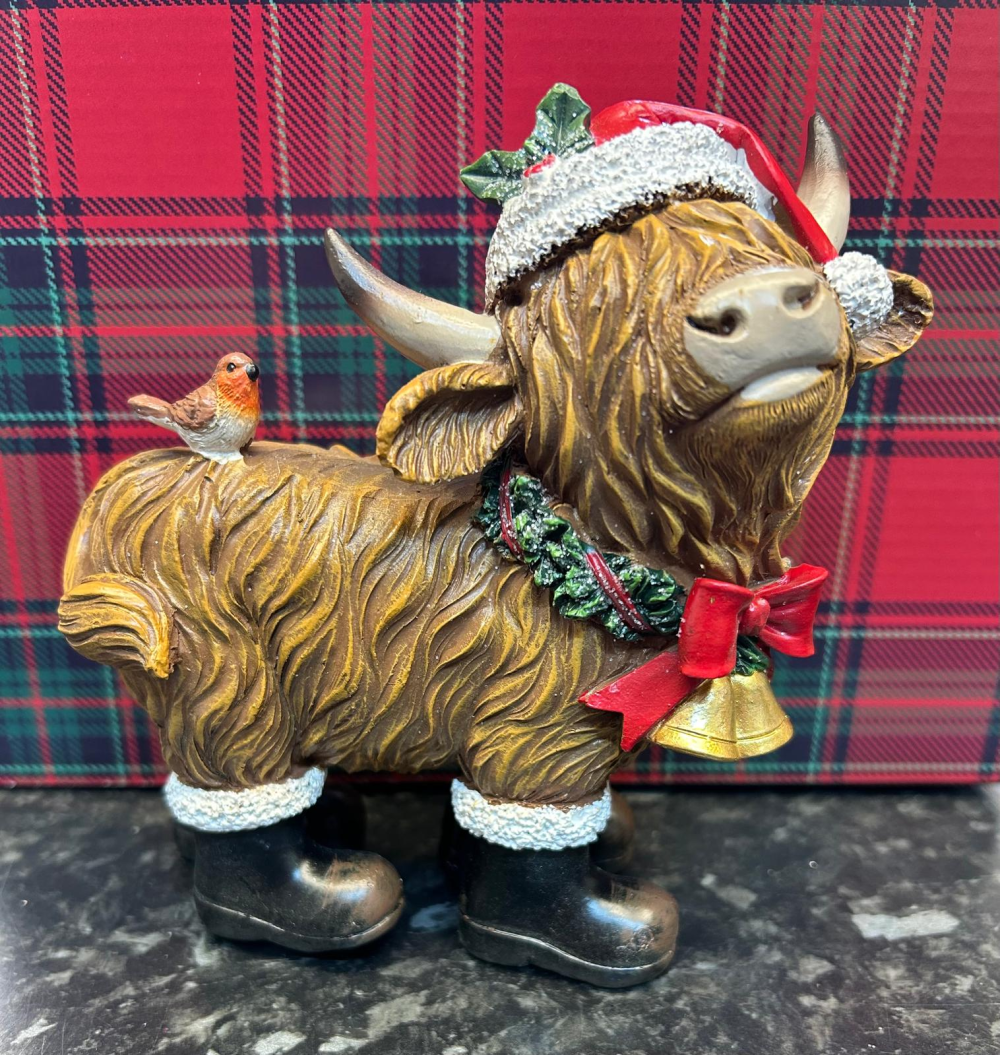 Twinkle - Highland Coo